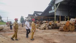 Wakil Bupati Yapen Pimpin Langsung Sidak PT SWPI, Temukan Banyak Bangunan Baru Belum Terdata