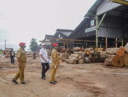 Wakil Bupati Yapen Pimpin Langsung Sidak PT SWPI, Temukan Banyak Bangunan Baru Belum Terdata