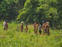 Pemkab Yapen Bersama MUI Tinjau Lokasi Rencana Pemakaman Muslim di Kandowarira